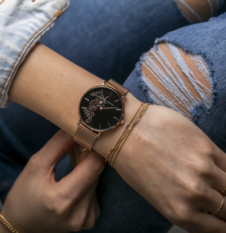 Fossil Set