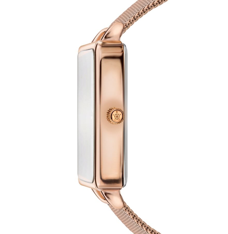 Sunny Sanctuary Rose Gold Mesh