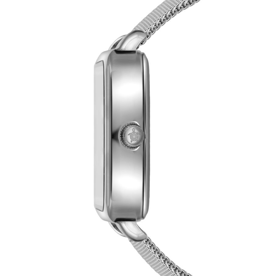Night Voyage Silver Mesh