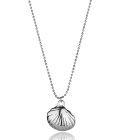 Mariner in Silver