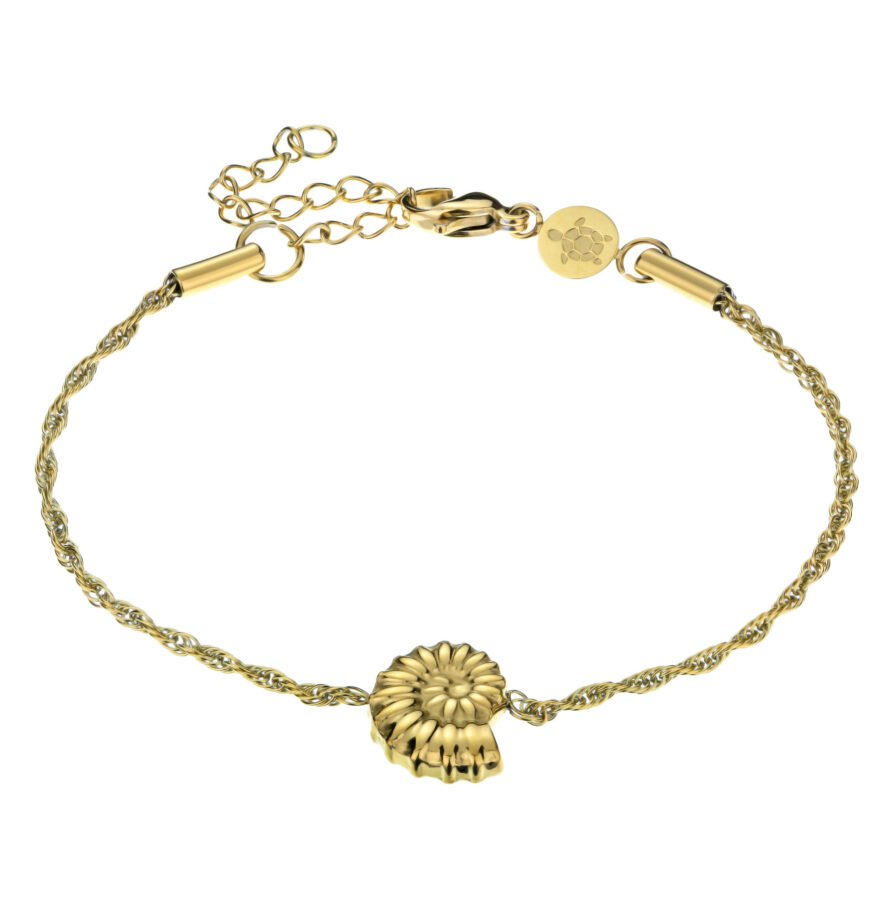 Cael  in Gold